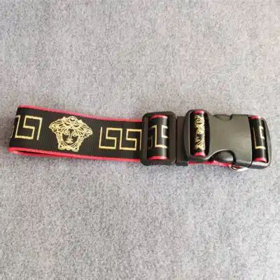 versace collar dog|versace dog collar and leash.